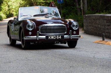 Nash Healey spor 3850 1950 cc