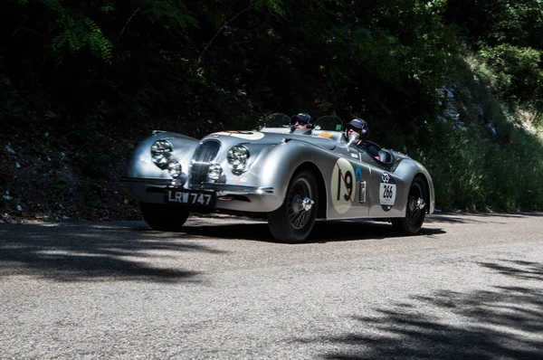 JAGUAR XK 120 OTS 1951 — Stock Photo, Image