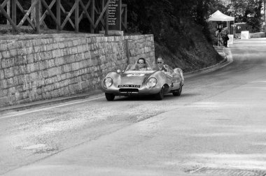 Lotus Eleven doruk 1956