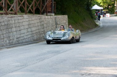 Lotus Eleven doruk 1956