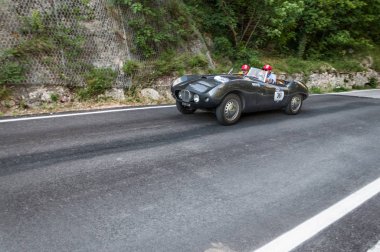 ARNOLT BRISTOL BOLIDE 1954