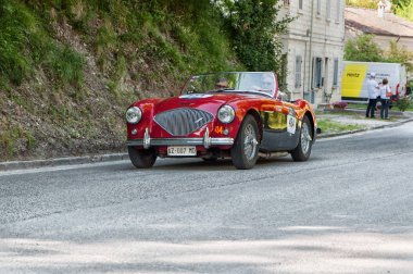 Austin Healey 100/4 1956