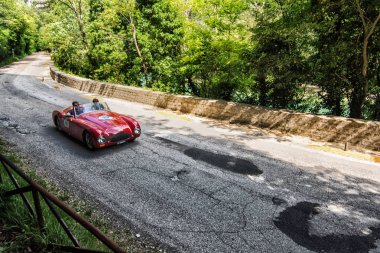 CISITALIA 202 S MM Örümcek NUVOLARI 1947