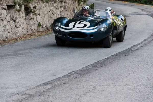 JAGUAR D-TYPE 1956 vintage araba