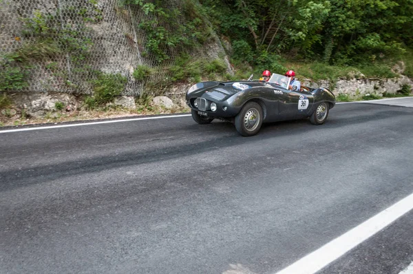 ARNOLT BRISTOL BOLIDE 1954