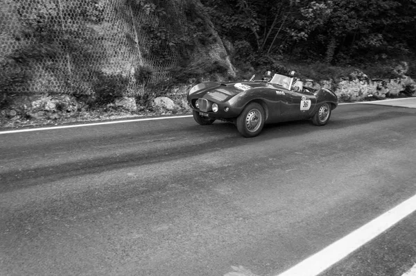 Arnolt Bristol bolid 1954 — Stock fotografie