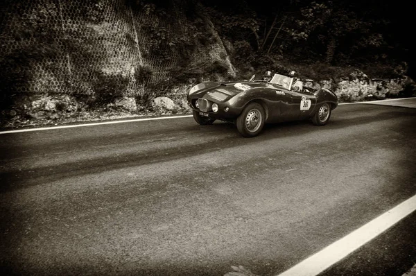 ARNOLT BRISTOL BOLIDE 1954