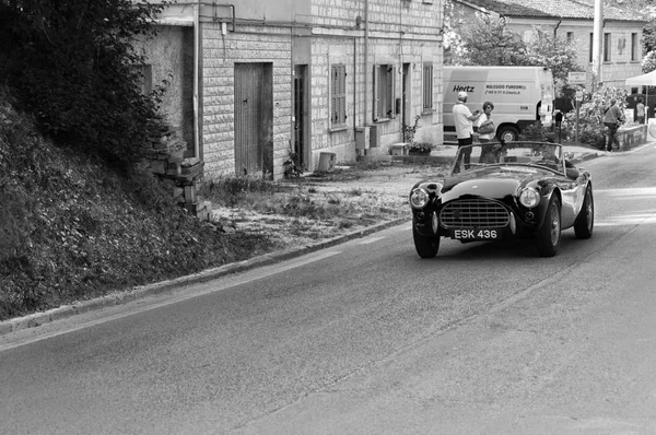 A.C. Ace 1955 eski model araba yarış İtalya