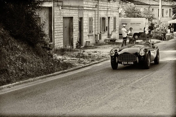 A.C. ACE 1955 vintage car race italy — Stock Photo, Image