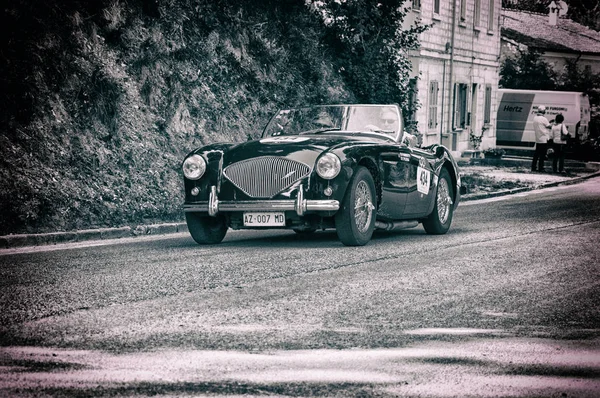 AUSTIN HEALEY 100 / 4 1956 — Fotografia de Stock