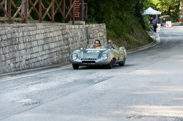 Lotus Eleven doruk 1956