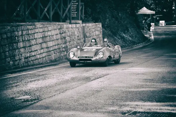Lotus Eleven doruk 1956