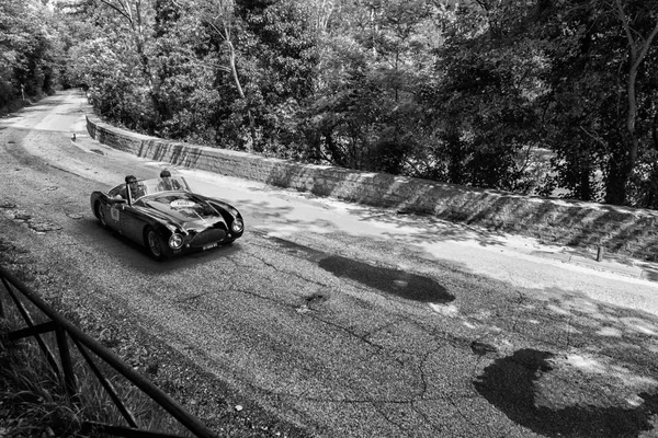 CISITALIA 202 S MM Örümcek NUVOLARI 1947