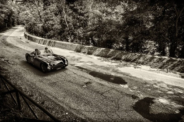 CISITALIA 202 S MM Örümcek NUVOLARI 1947