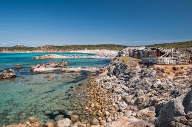 Sardunya Gallura mavi deniz Maiore