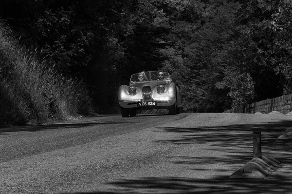 Gola Del Furlo Italie Mai Jaguar 120 Ots Roadster 1950 — Photo