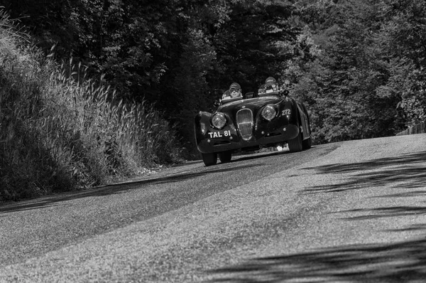 Gola Del Furlo Olaszország Május Jaguar 120 Ots Roadster 1950 — Stock Fotó