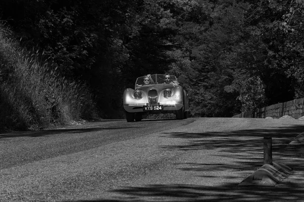 Gola Del Furlo Italië Mei Jaguar 120 Ots Roadster 1950 — Stockfoto