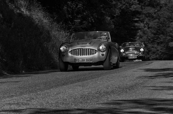 Gola Del Furlo Italia Mayo Austin Healey Viejo Coche Carreras — Foto de Stock