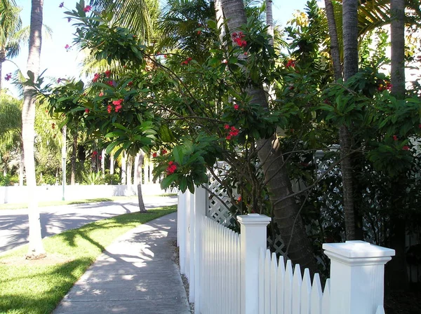 Key West Florida Abd Tarihi Popüler Merkezinde Şehir Key West — Stok fotoğraf