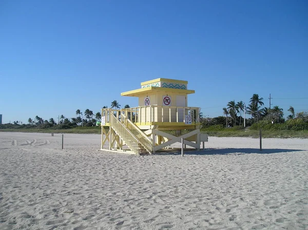 Landscape Beach Miami Florida Usa — Stock Photo, Image