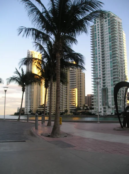 Beach Miami Florida Abd Manzara — Stok fotoğraf