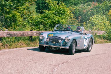 Pesaro Colle San Bartolo, İtalya - 17 Mayıs - 2018: Austin Healey 100 / 4 Bn2 1955 Mille Miglia 2018 rallisinde eski bir yarış arabası üzerinde ünlü İtalyan tarihi yarışı (1927-1957))