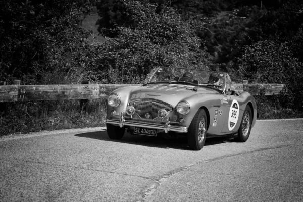 Pesaro Colle San Bartolo Italie Mai 2018 Austin Healey 100 — Photo