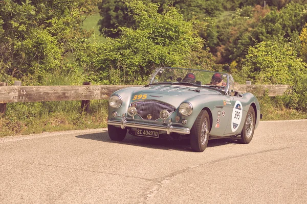 Pesaro Colle San Bartolo Itália Maio 2018 Austin Healey 100 — Fotografia de Stock