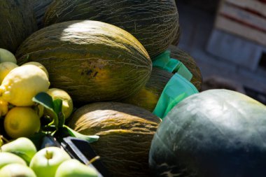 Sardunya 'daki markette meyve.