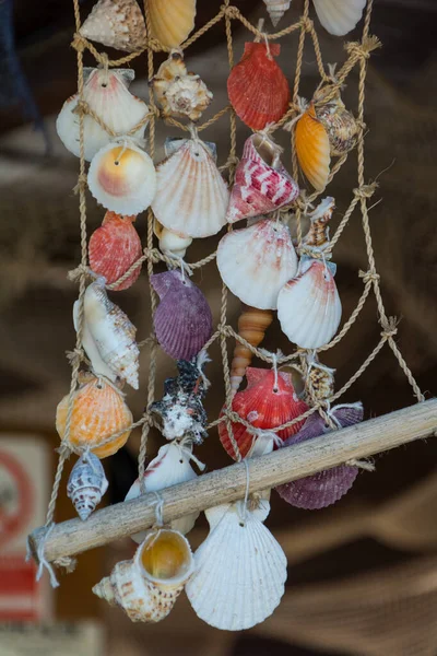 Decoratieve Schelpen Sardinia Zomer — Stockfoto