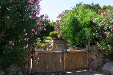 Porto Cervo sardunya, 13 Ağustos 2019 : Yatlı küçük pevero plajının panoramik manzarası