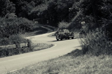 Pesaro Colle San Bartolo, İtalya - Mayıs 17-2018: Zagato Fiat 8v 1952'eski bir yarış araba ralli Mille Miglia 2018 ünlü İtalyan tarihi Formula (1927-1957)