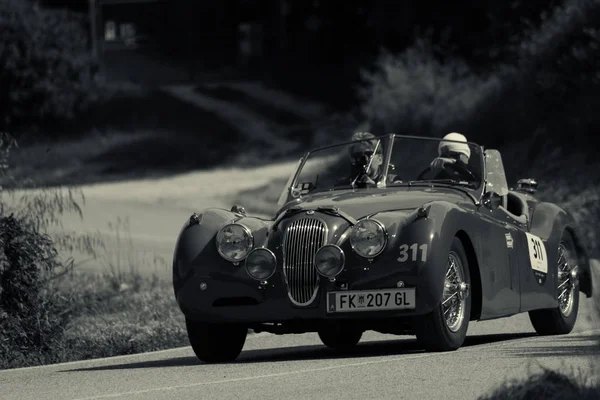 Pesaro Colle San Bartolo Italy 2018 Jaguar 120 Ots 1954 — стоковое фото