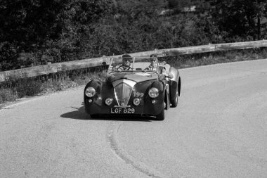 Pesaro Colle San Bartolo, İtalya - 17 Mayıs 2018: Healey 2400 Westland 1950 Mille Miglia 2018 rallisinde eski bir yarış arabası üzerinde ünlü İtalyan tarihi yarışı (1927-1957))