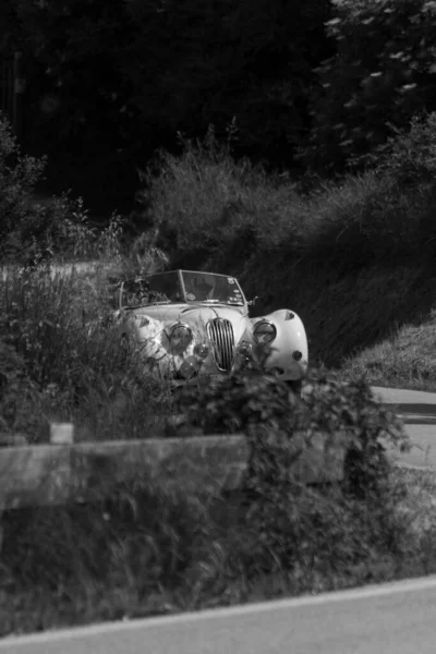 Pesaro Colle San Bartolo Italy 2018 Jaguar 140 Ots 1955 — стоковое фото