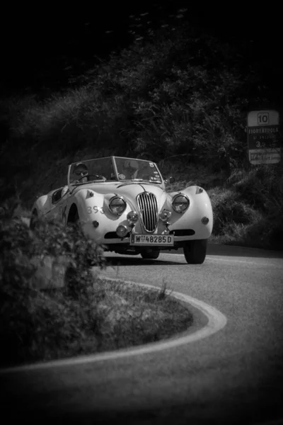 Pesaro Colle San Bartolo Italia Mayo 2018 Jaguar 140 Ots — Foto de Stock