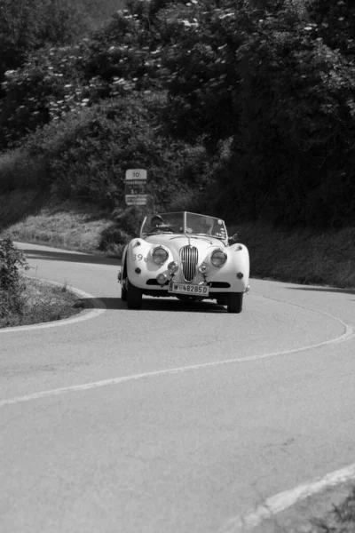 Pesaro Colle San Bartolo Italy May 2018 Jaguar 140 Ots — Stock Photo, Image