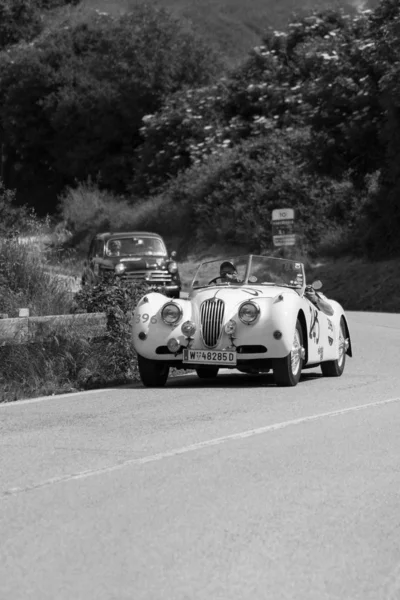 페사로 이탈리아 2018 Jaguar 140 Ots 1955 Old Racing Car — 스톡 사진