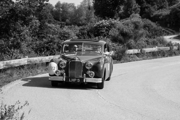 Pesaro Colle San Bartolo Italy 2018 Jaguar Mark Vii 1951 — стоковое фото