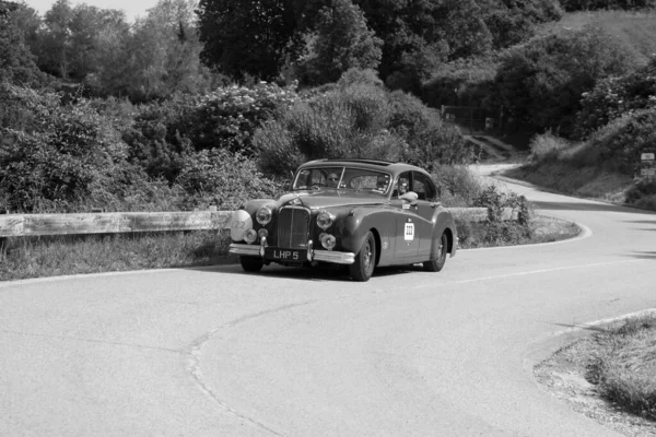 Pesaro Colle San Bartolo Italy 2018 Jaguar Mark Vii 1951 — стоковое фото