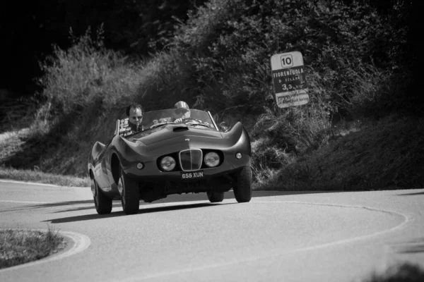 Pesaro Colle San Bartolo Italy May 2018 Aston Martin 1954 — стоковое фото