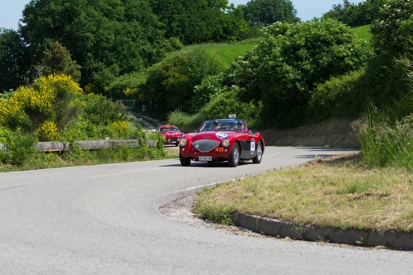 Pesaro Colle San Bartolo Italy May 2018 Austin Healey 100 — Stock Photo, Image