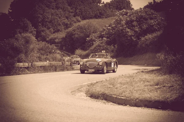 Pesaro Colle San Bartolo Itália Maio 2018 Austin Healey 100 — Fotografia de Stock