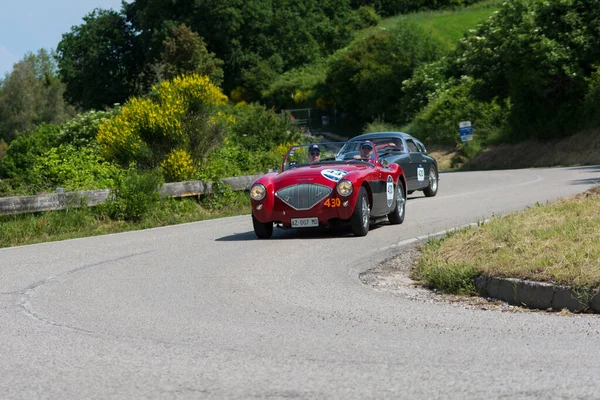 Pesaro Colle San Bartolo Itália Maio 2018 Austin Healey 100 — Fotografia de Stock