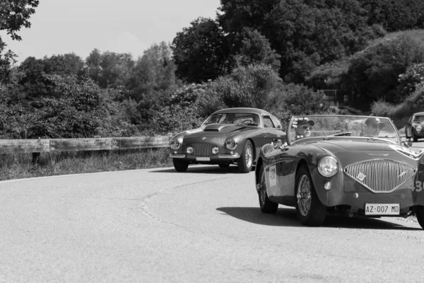 Pesaro Colle San Bartolo Italy May 2018 Austin Healey 100 — стокове фото