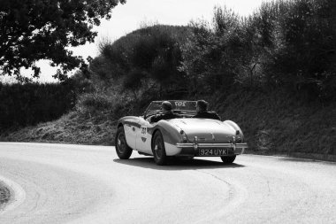 PESARO SAN BARTOLO, İtalya - 17 Mayıs 2018: AUSTIN HEALEY 100 M BN2 1955 Mille Miglia 2018 rallisindeki eski bir yarış arabası üzerinde ünlü İtalyan tarihi yarışı (1927-1957))