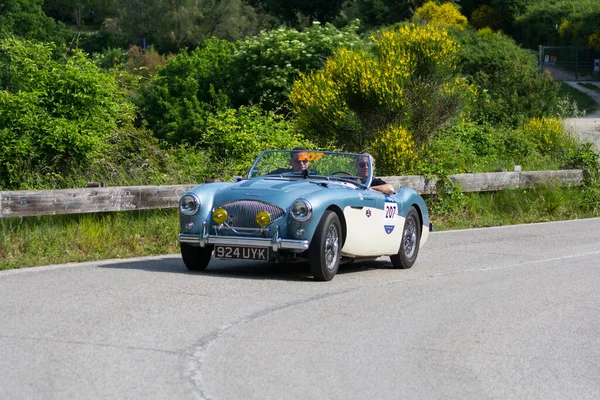 Pesaro Colle San Bartolo Italia Mayo 2018 Austin Healey 100 —  Fotos de Stock