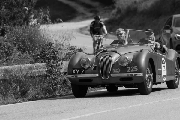 Pesaro Colle San Bartolo Italy 2018 Jaguar 120 Ots 1952On — стоковое фото