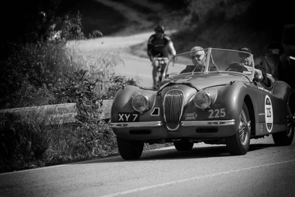 Pesaro Colle San Bartolo Itália Maio 2018 Jaguar 120 Ots — Fotografia de Stock